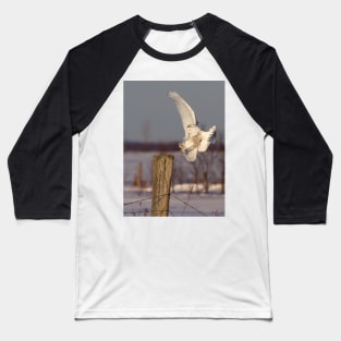 Snowy Owl on post Baseball T-Shirt